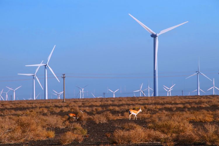 風(fēng)力發(fā)電場(chǎng)接地 風(fēng)力發(fā)電場(chǎng)接地