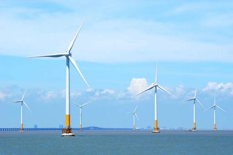 風(fēng)力發(fā)電場(chǎng)海邊接地 風(fēng)力發(fā)電場(chǎng)海邊接地